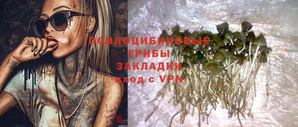 ПСИЛОЦИБИНОВЫЕ ГРИБЫ Зерноград