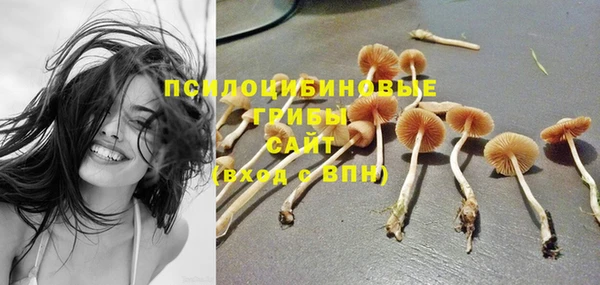 дживик Зеленодольск